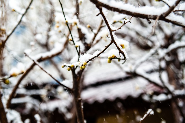 插水