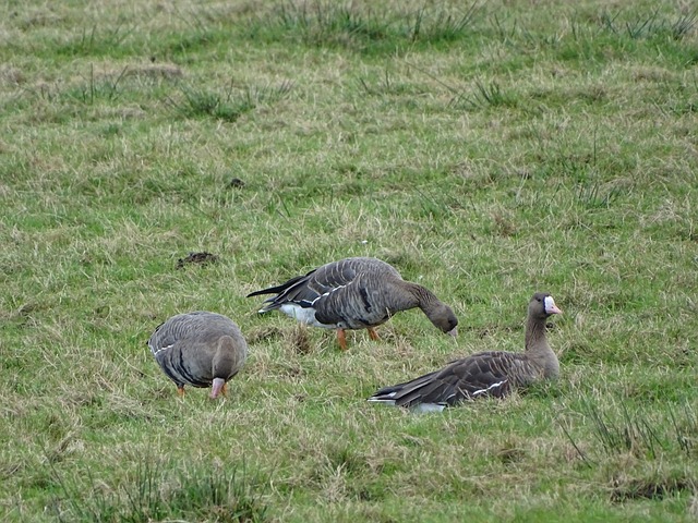 岁并不是职 岁并不是职