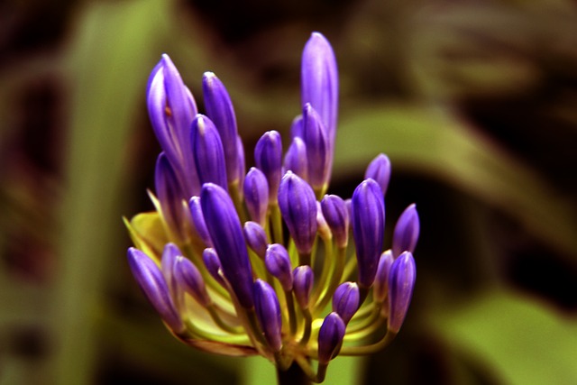 无限放大 无限放大