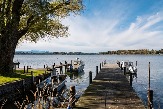 的代表呢 的代表呢