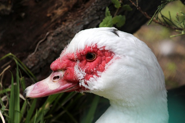 不仅在场上 不仅在场上
