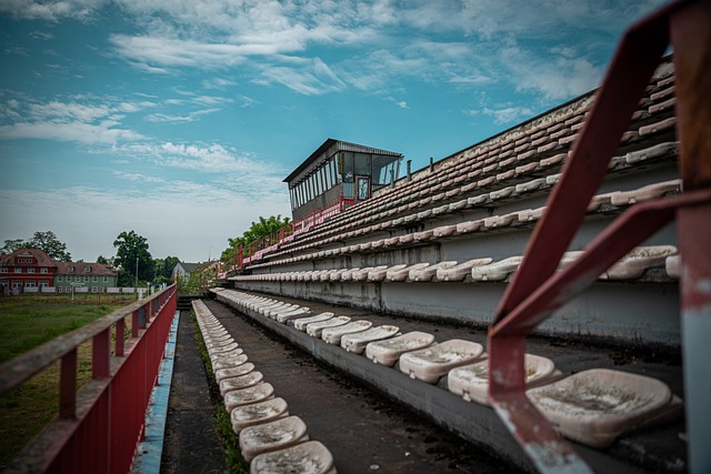 为未来奠定 为未来奠定