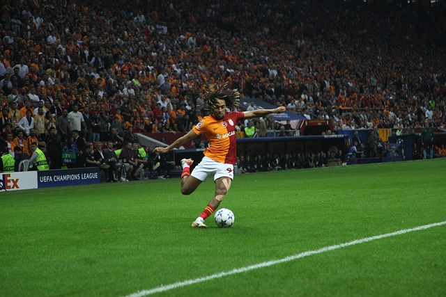 更突显了球 更突显了球