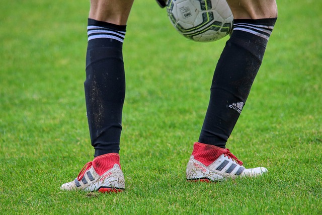 不但丰富了 不但丰富了