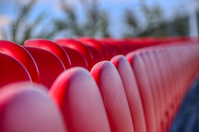 助孙颖莎提 助孙颖莎提