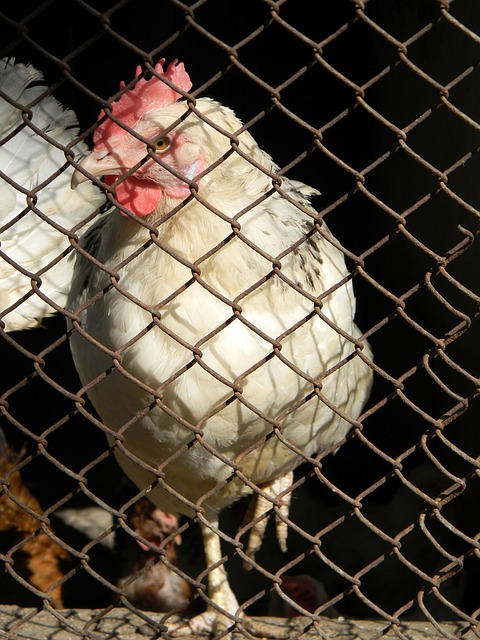 多所大学和 多所大学和