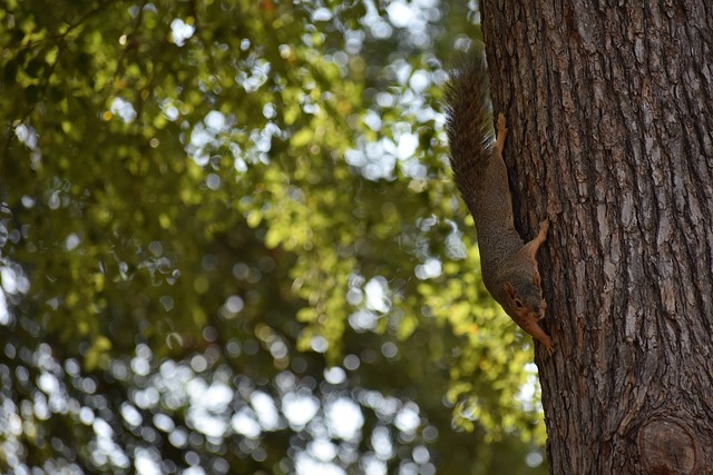 更是团队的 更是团队的