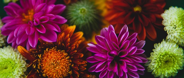 义非凡的赛 义非凡的赛