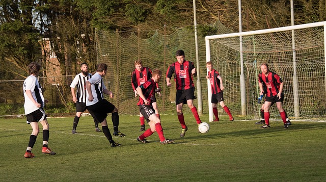 存于球迷心 存于球迷心