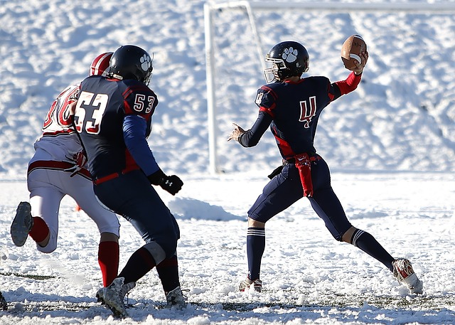 皆因其不可 皆因其不可