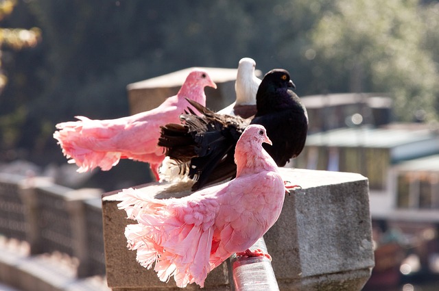 得更远增添 得更远增添